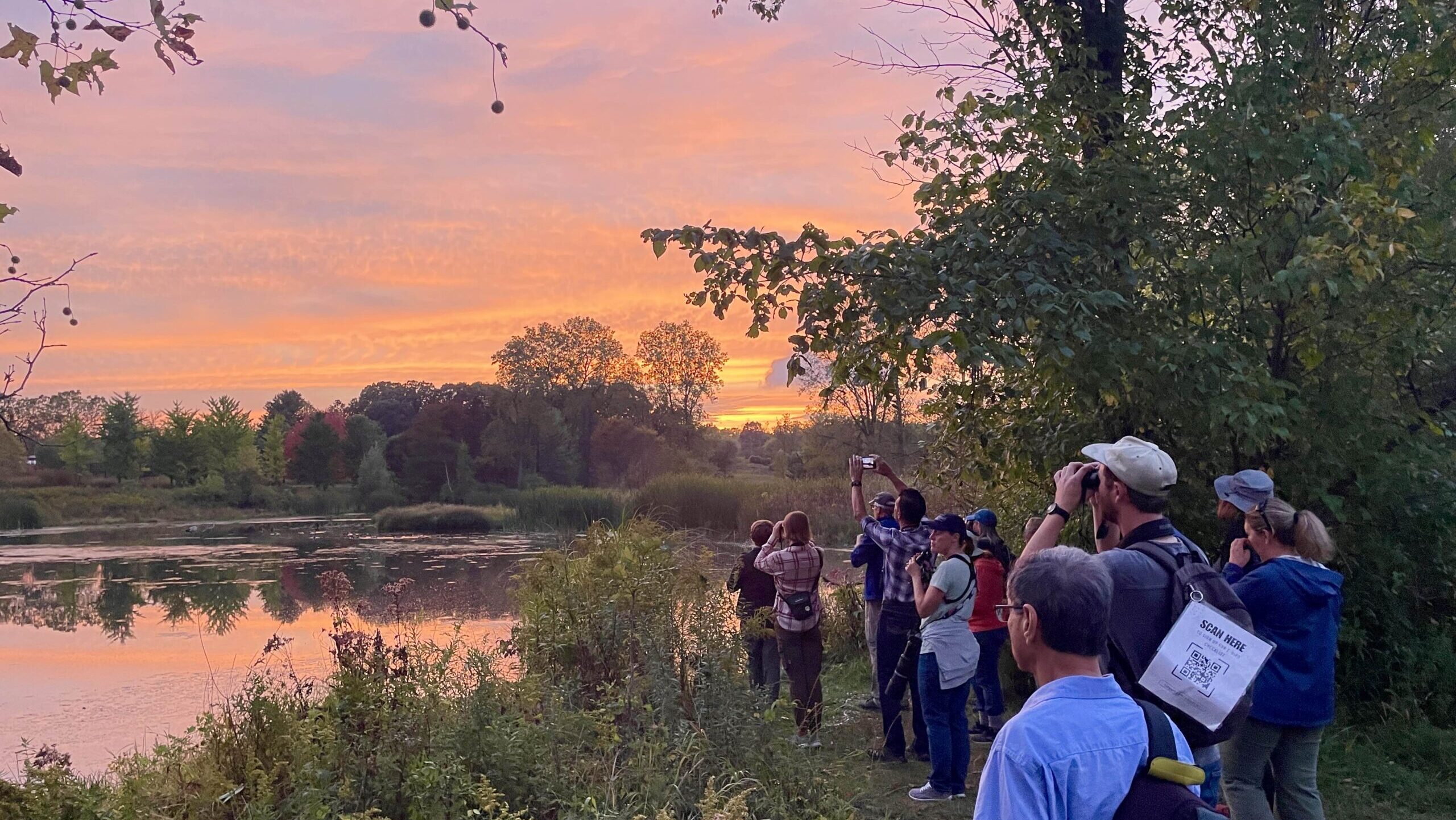 Monday Evening Migration at Matthaei