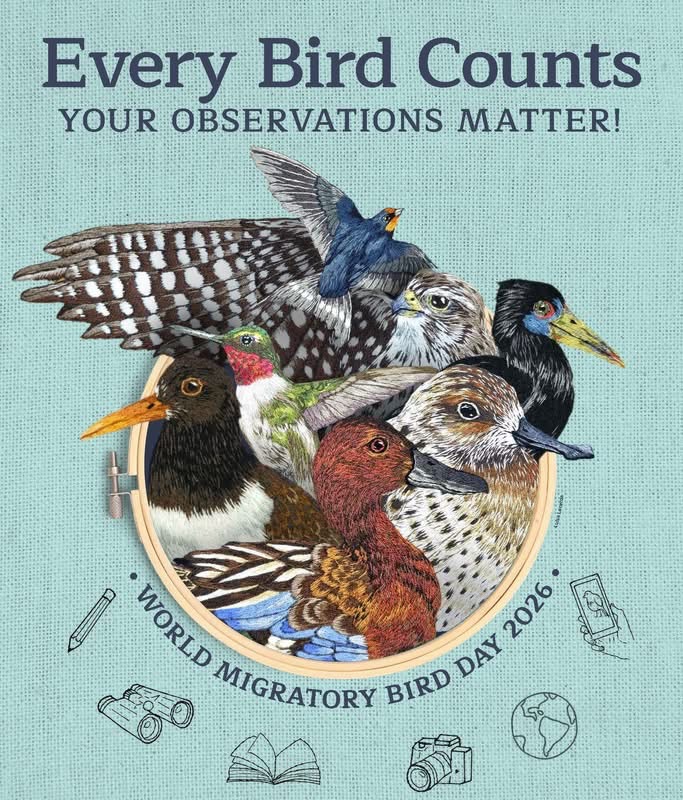 Washtenaw May Count and World Migratory Bird Day